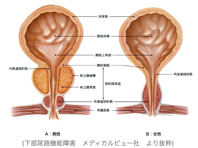 AH@\Q@fBJr[Ё@蔲